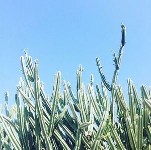 Meet your Posher, Ce